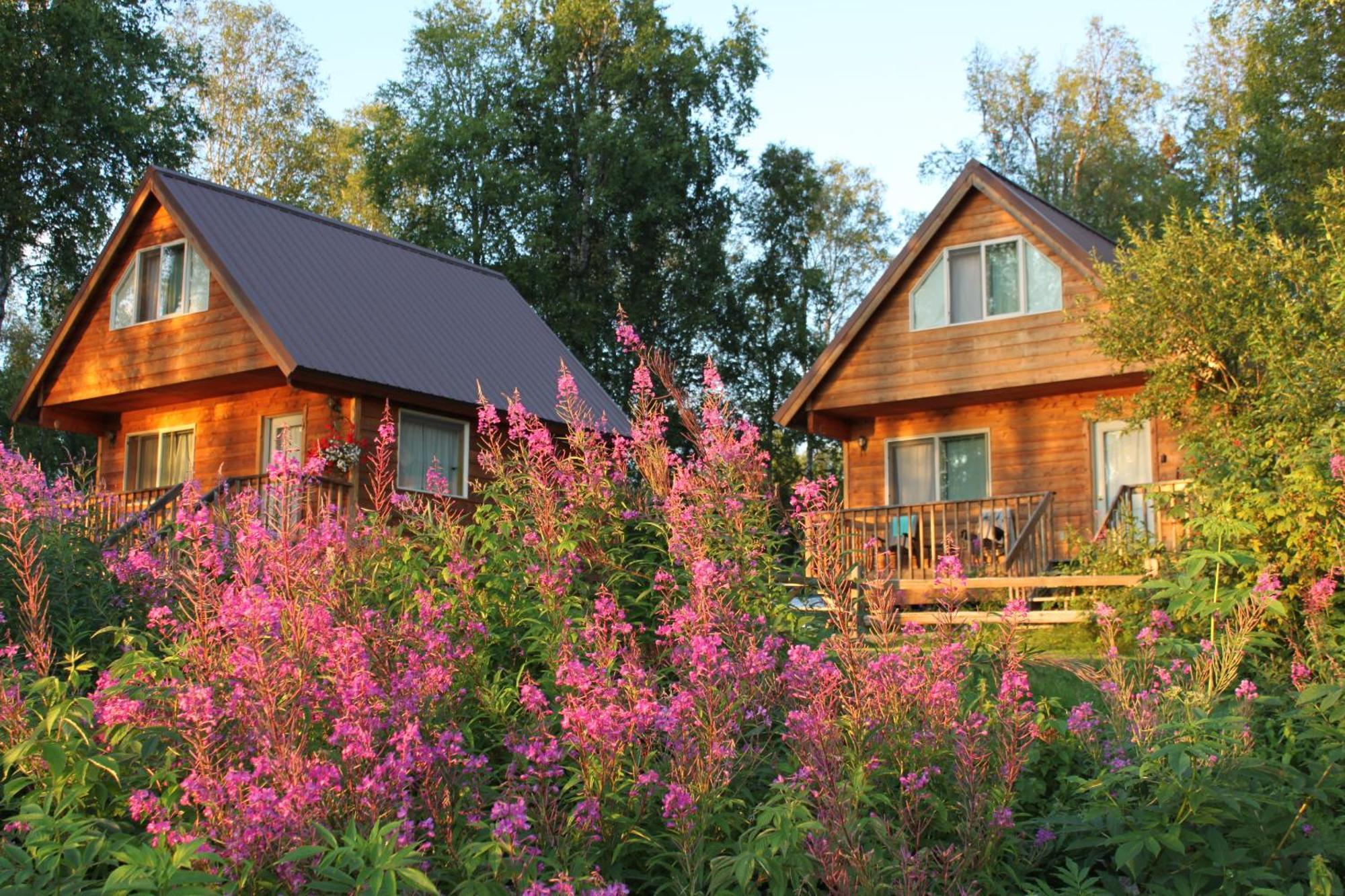 Susitna River Lodging, Riverside Cabins تالكيتنا المظهر الخارجي الصورة