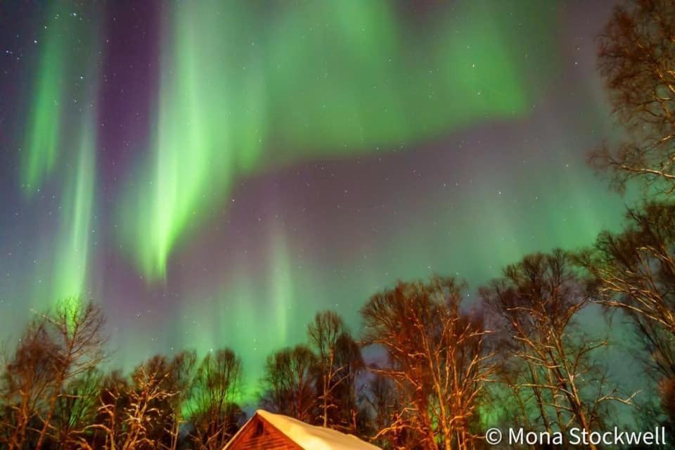 Susitna River Lodging, Riverside Cabins تالكيتنا المظهر الخارجي الصورة