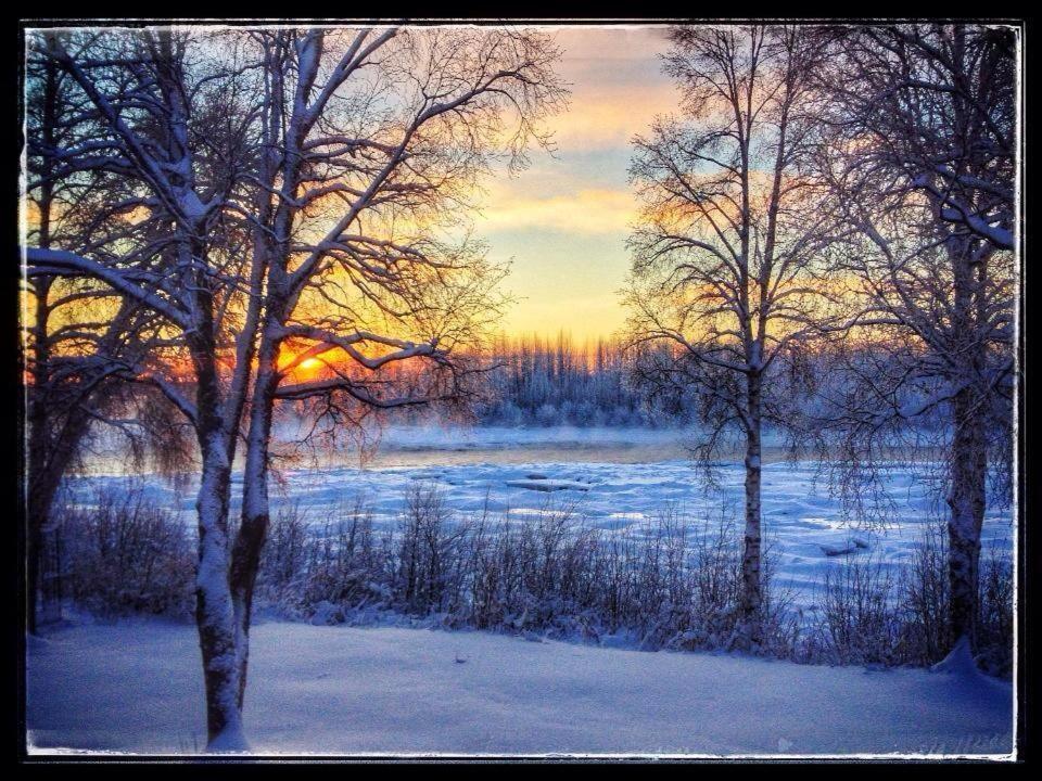 Susitna River Lodging, Riverside Cabins تالكيتنا المظهر الخارجي الصورة